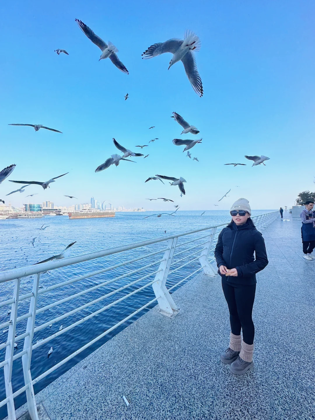 阿塞拜疆巴库第三天—-里海喂海鸥