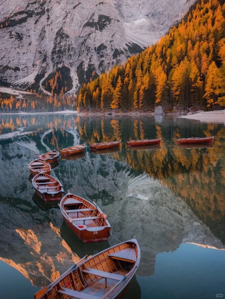 不想做攻略，跟团去了意大利，结果。。