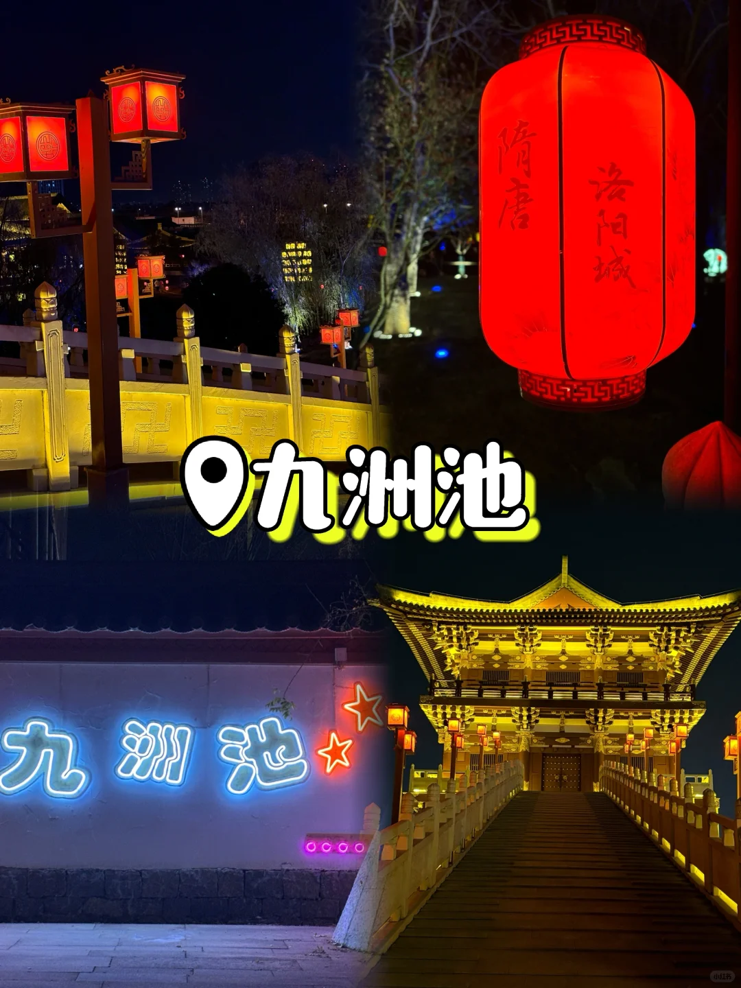 04女大寒假五日游📍洛阳｜洛阳旅游攻略❗️