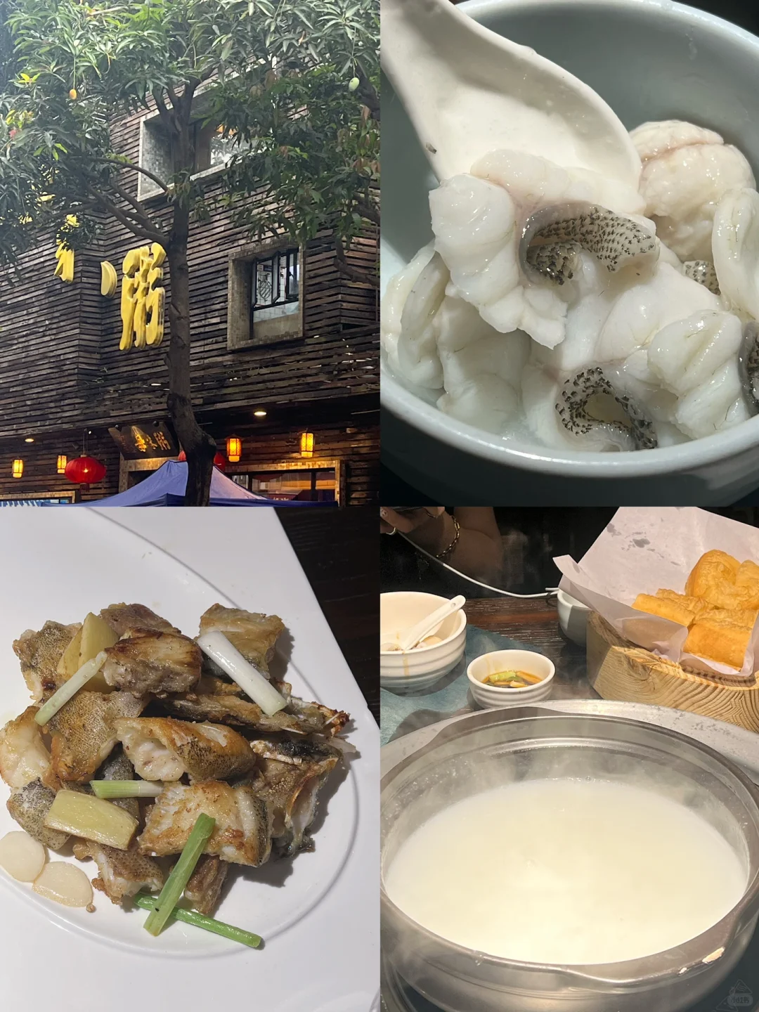 2️⃣天2️⃣晚顺德吃货游记🤤长沙出发说走就走