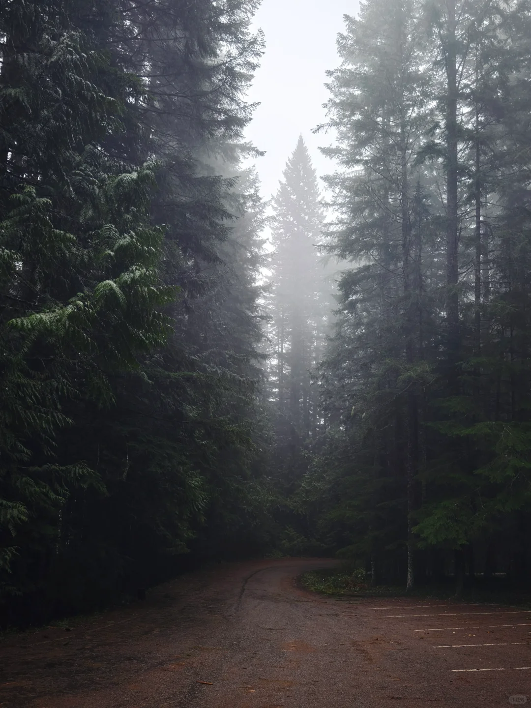 西雅图很美 拍到了我很喜欢的照片