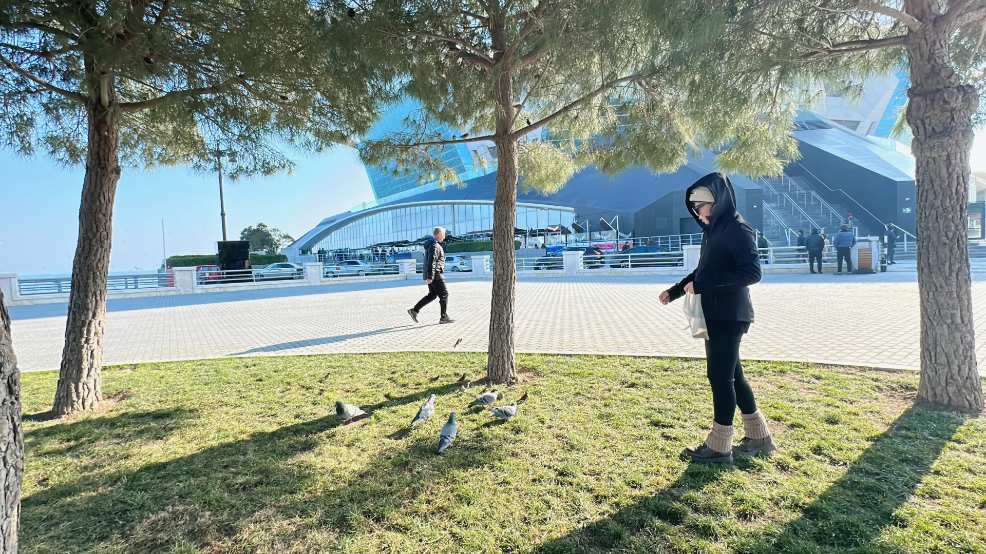 阿塞拜疆巴库第三天—-里海喂海鸥