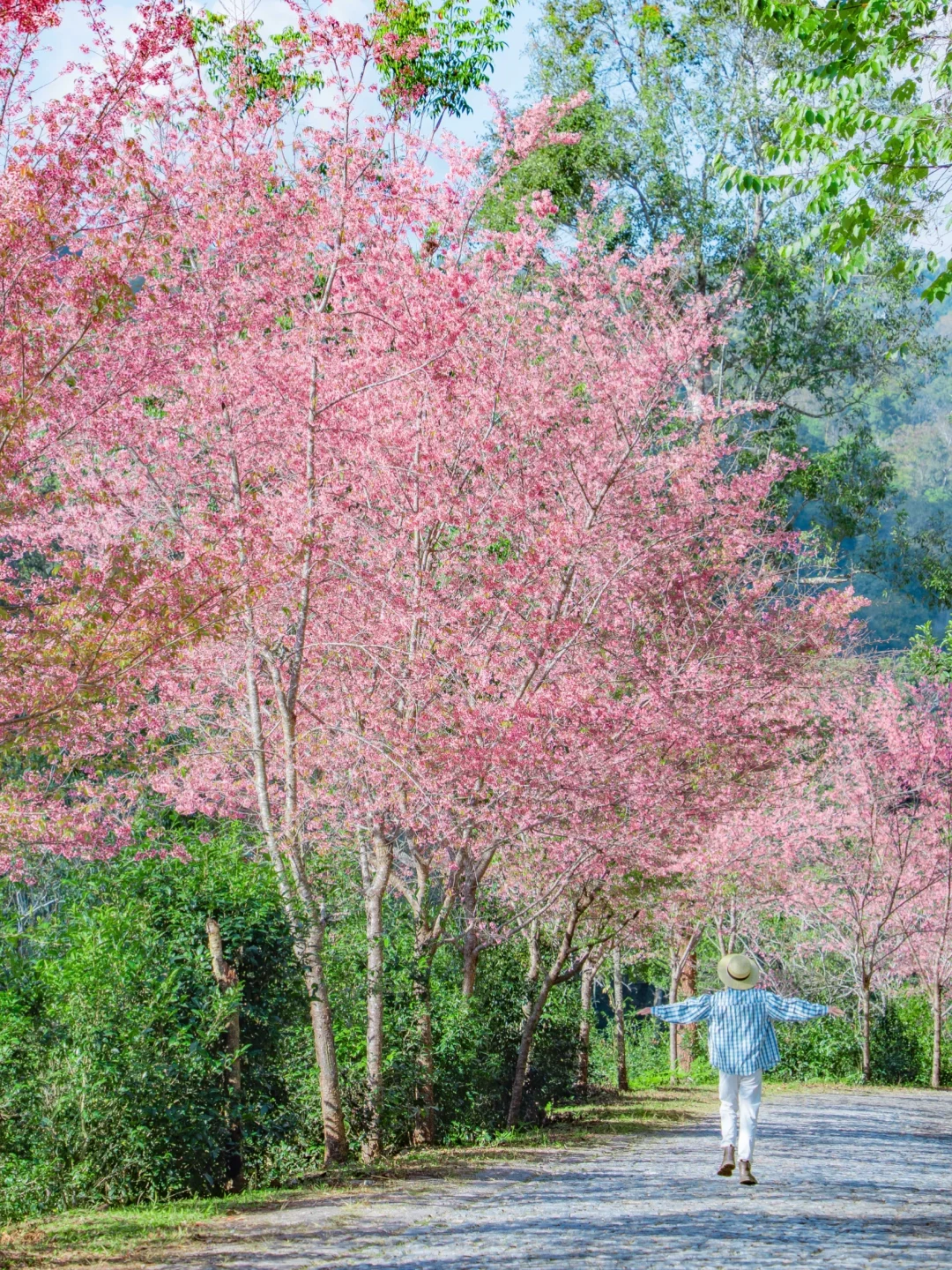 推荐一个云南真正冷门的旅行地，美哭😭我了