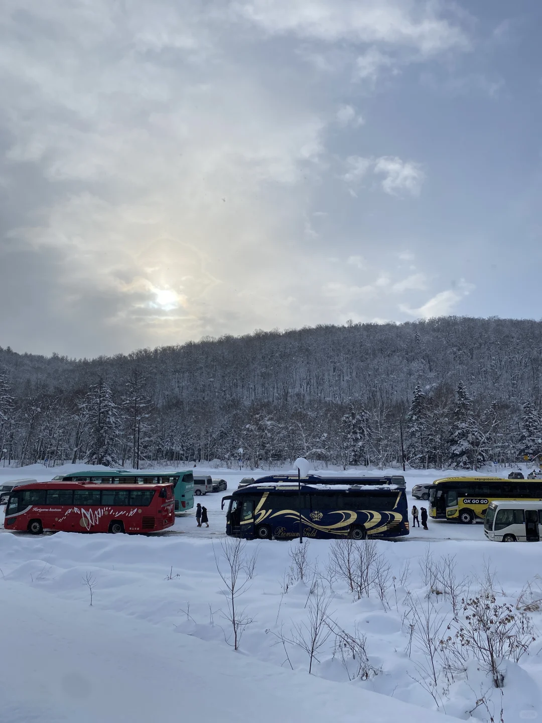 来一场北海道旅行