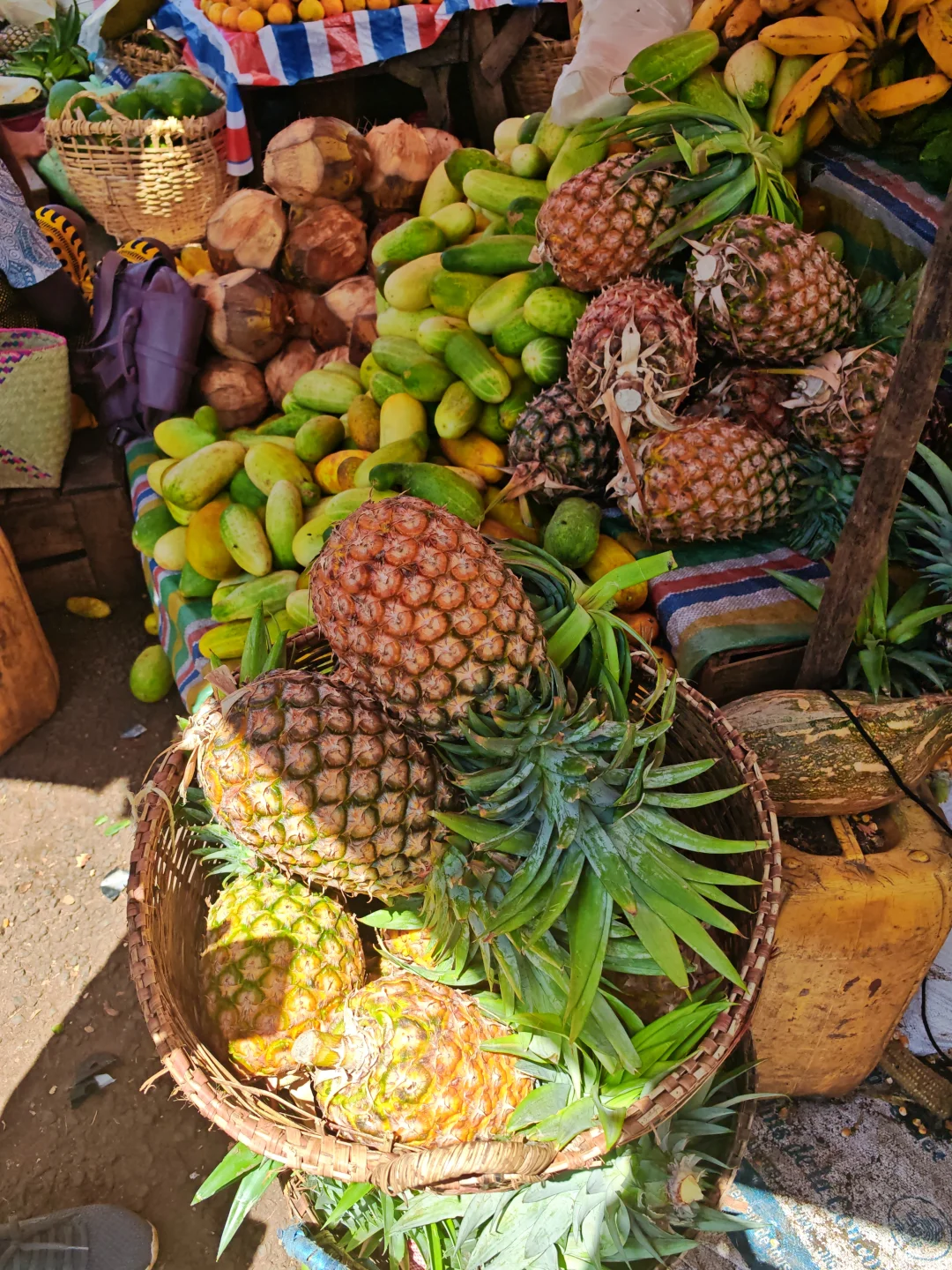 非洲深度猎奇游24