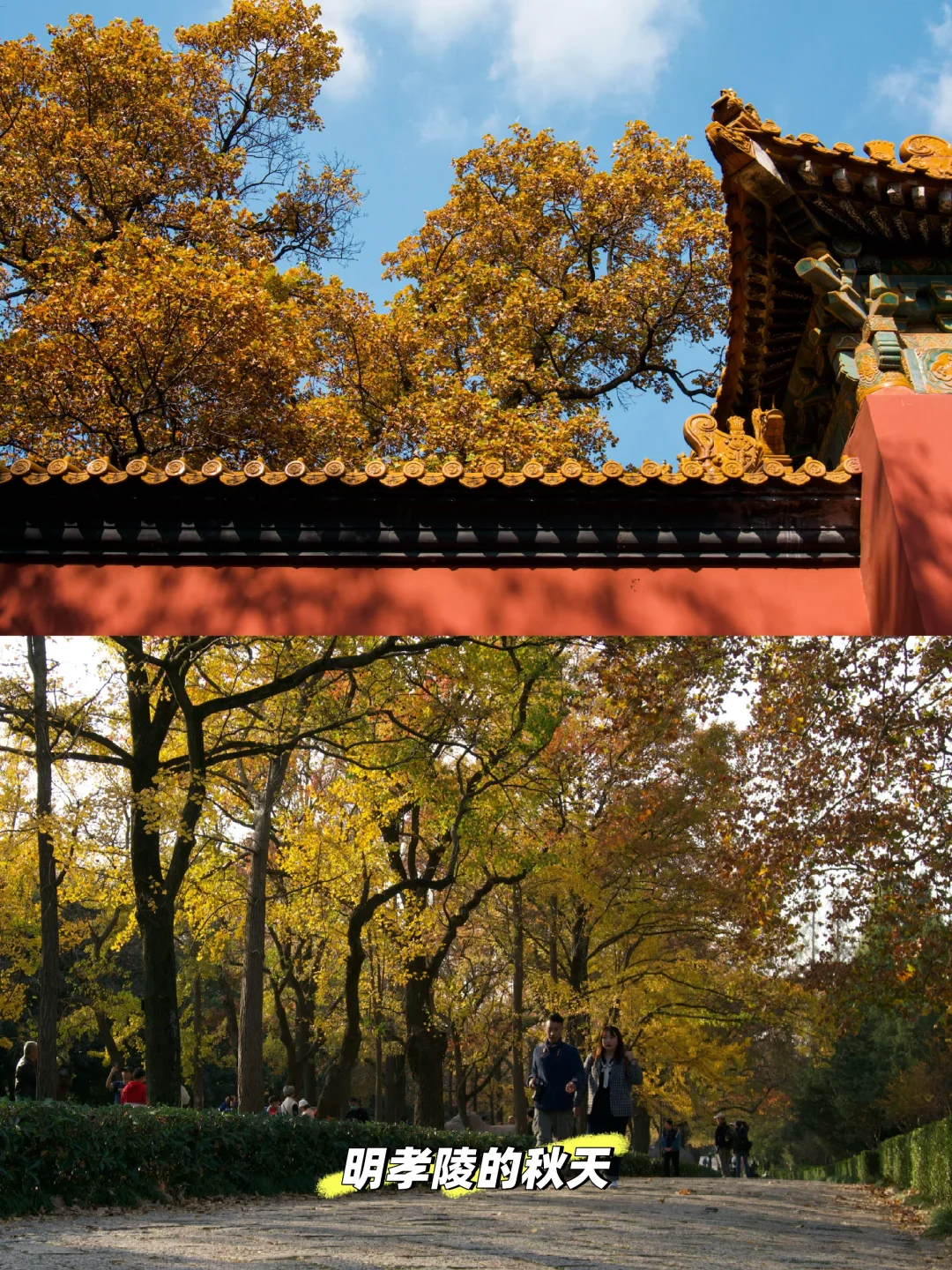 中山陵vs明孝陵vs美龄宫