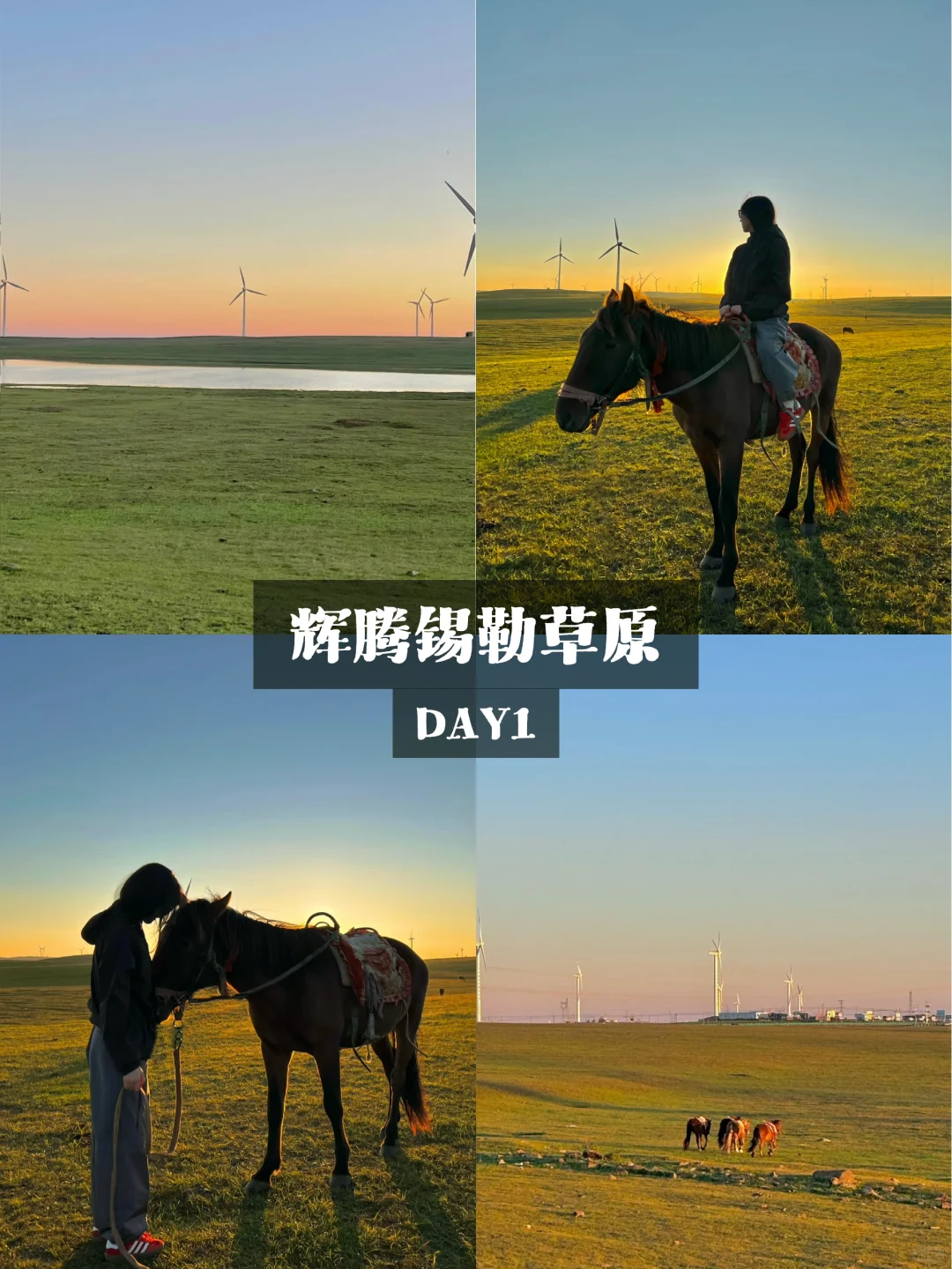 i人在内蒙古的五天玩了什么🧐