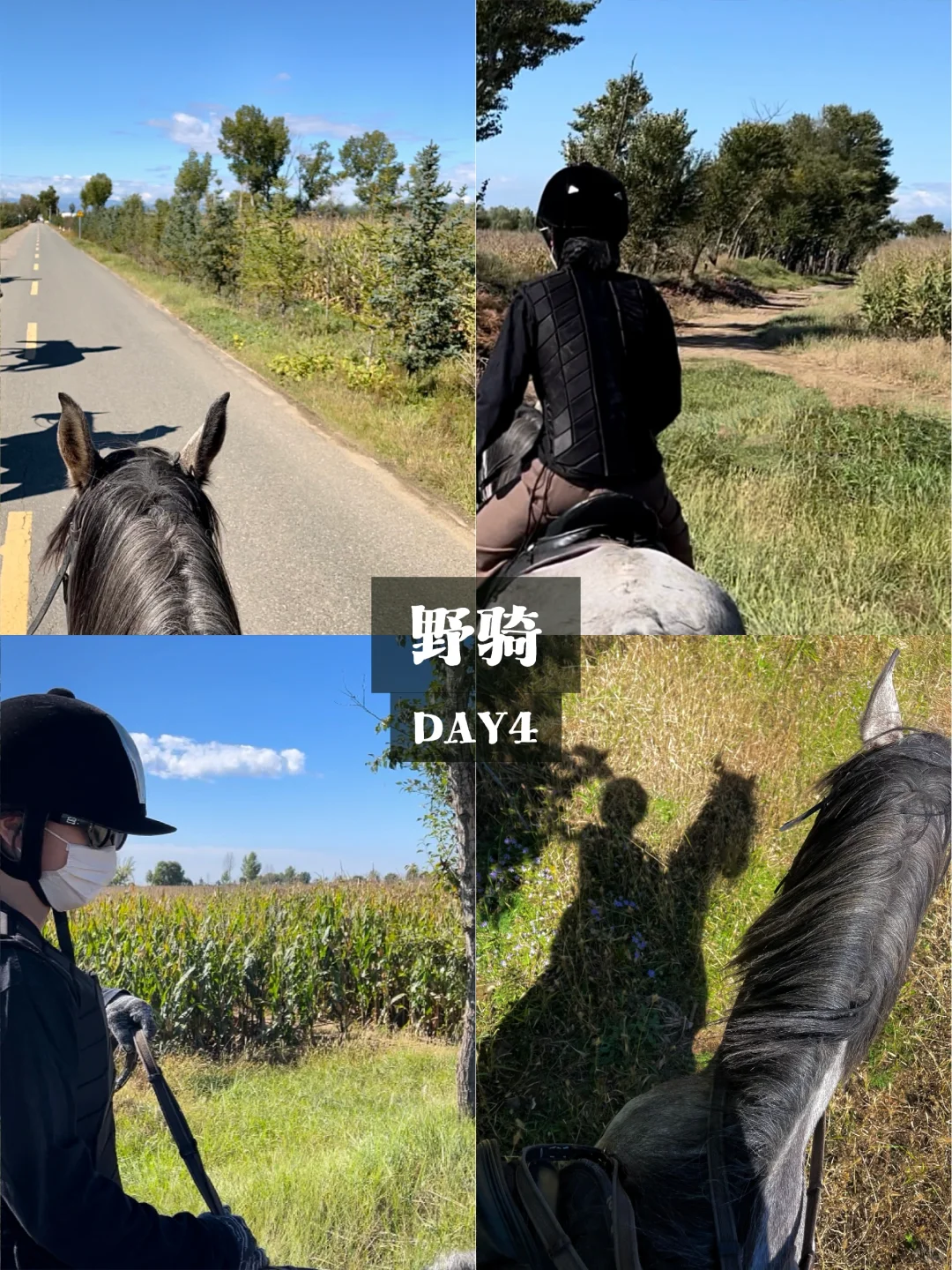 i人在内蒙古的五天玩了什么🧐