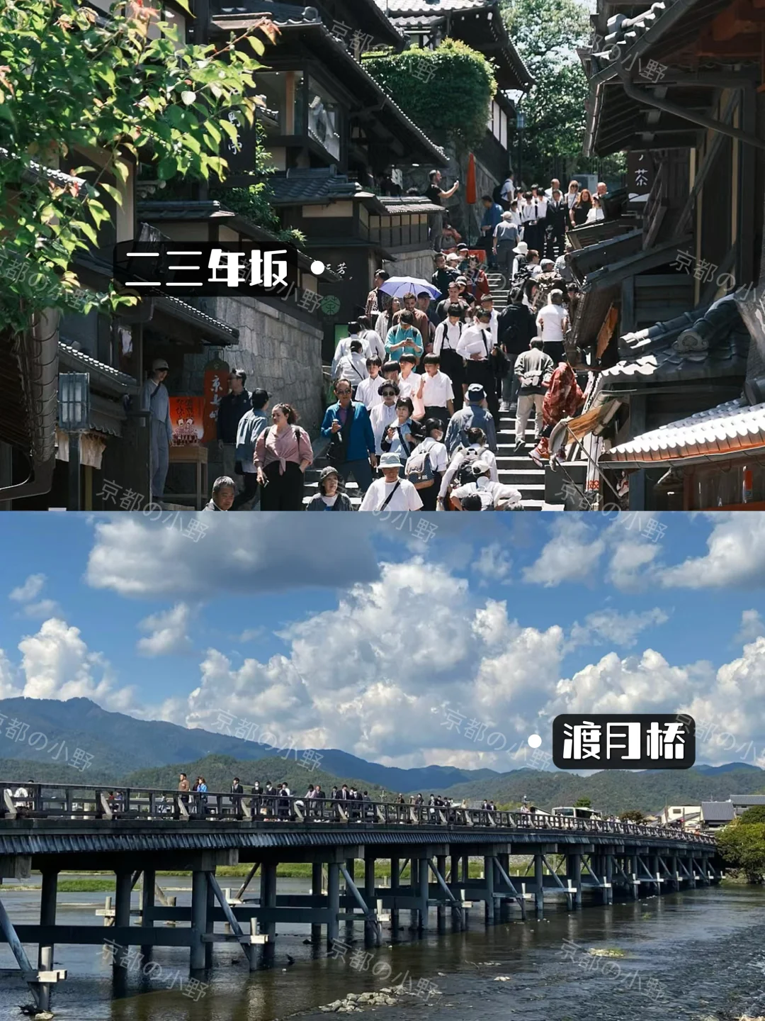 ⛩️攻略｜去了京都6次✈️一定要说的....