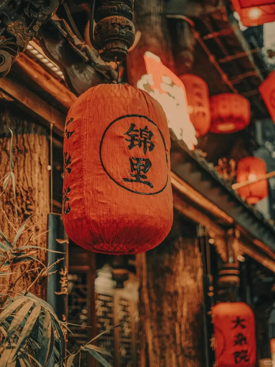 成都旅游｜连夜写的三天行程攻略！一定要看