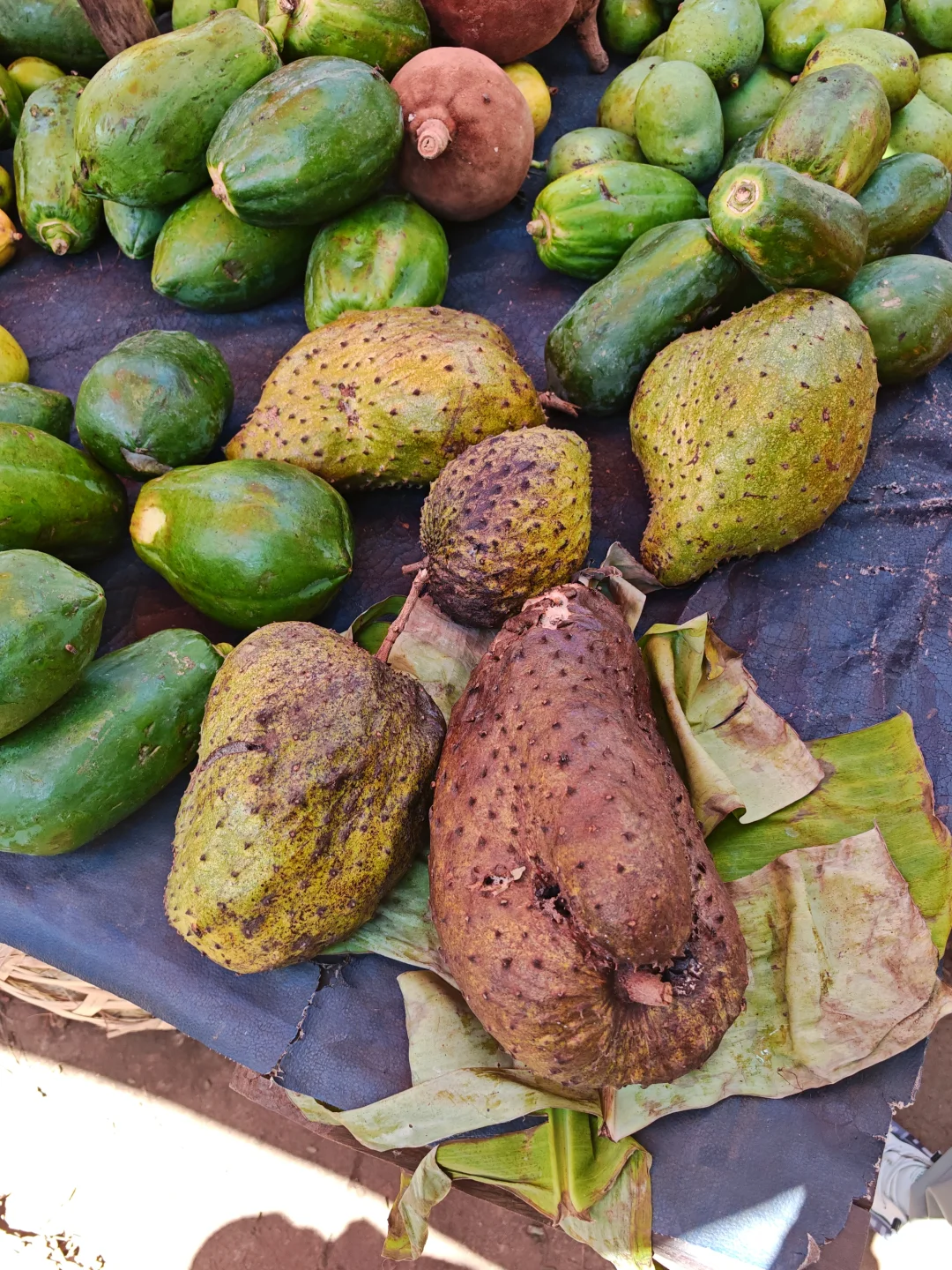 非洲深度猎奇游24