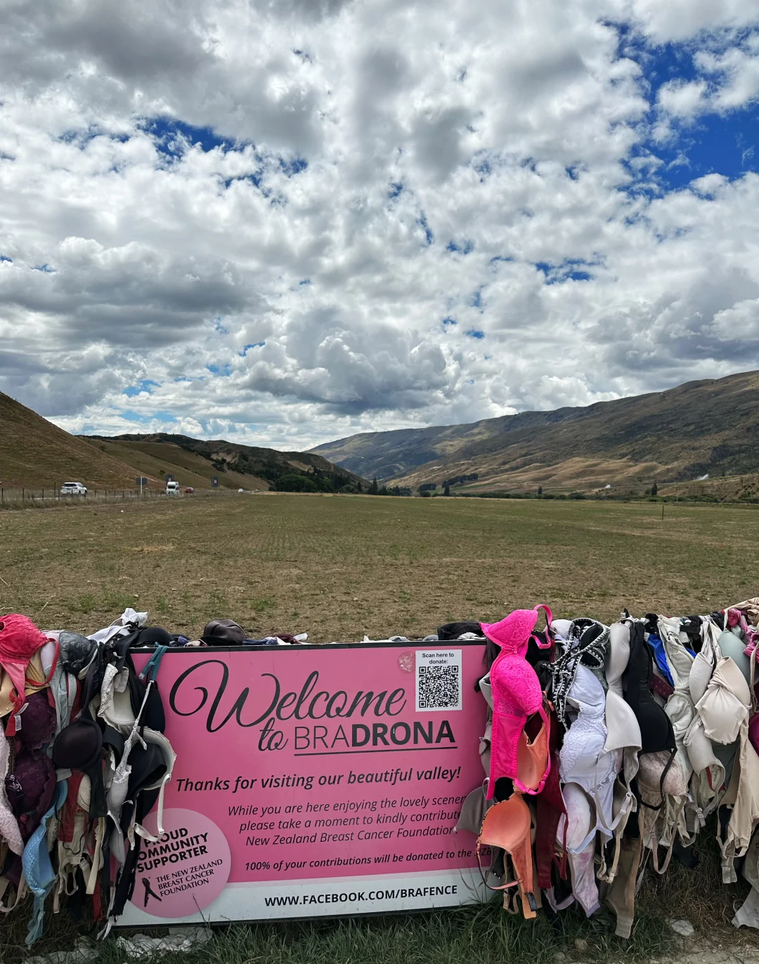 Cardrona bra fence