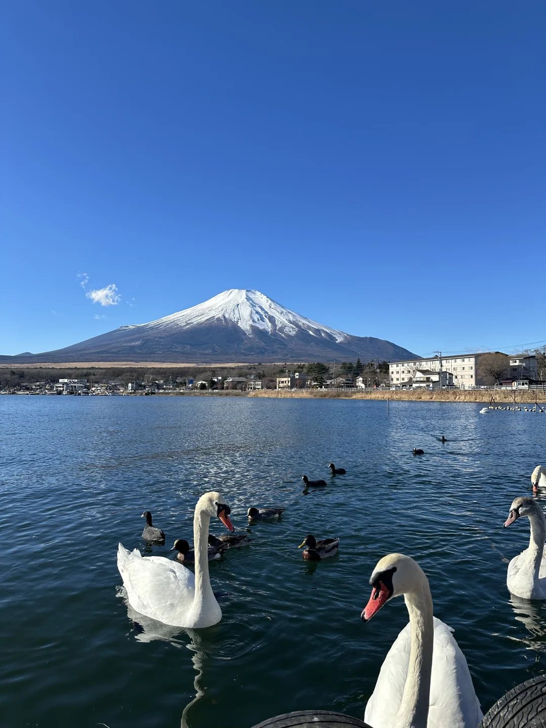 在富士山下听kpop