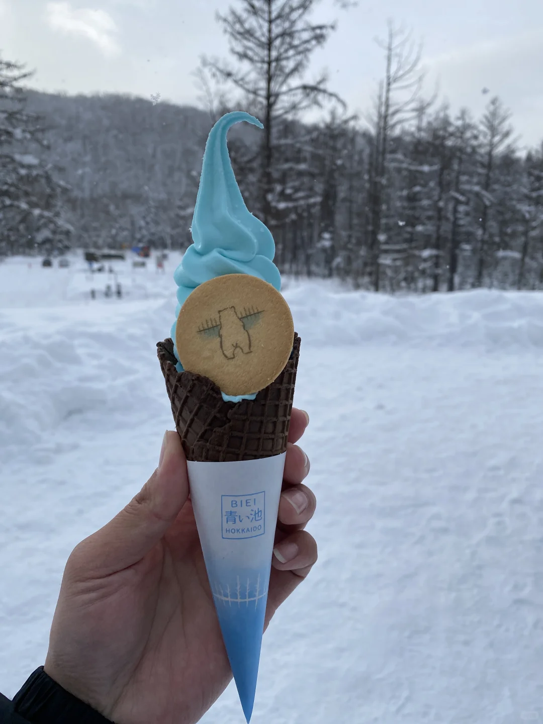 来一场北海道旅行