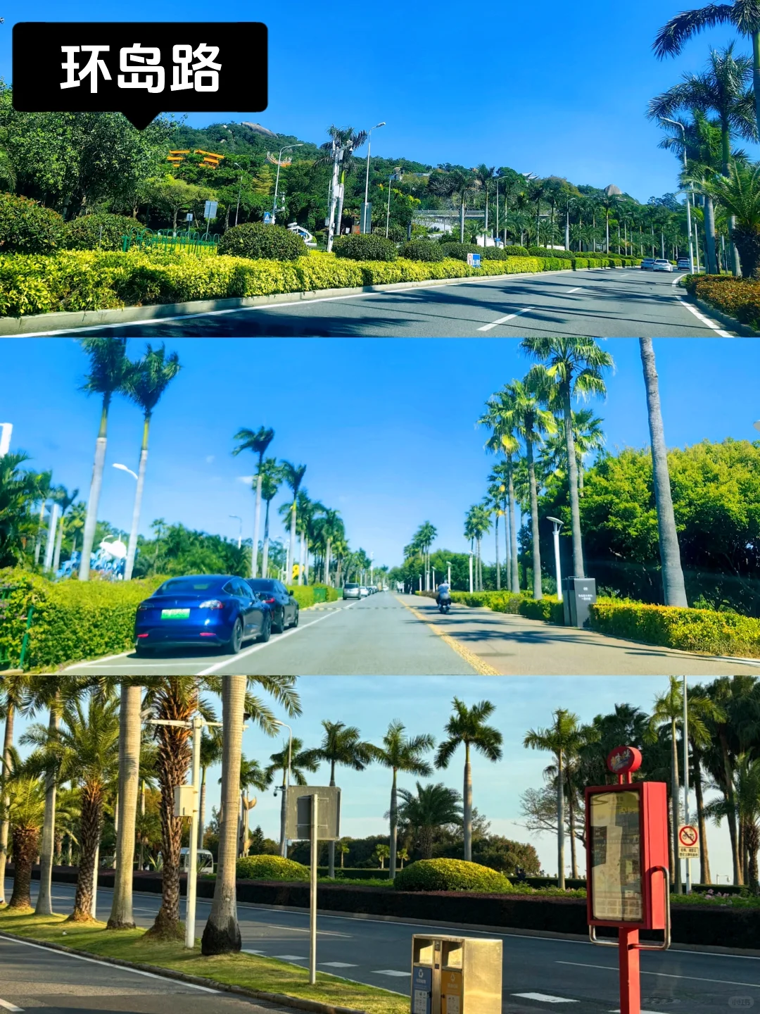 愿每个来厦门的人，都能刷到这篇旅游攻略❗