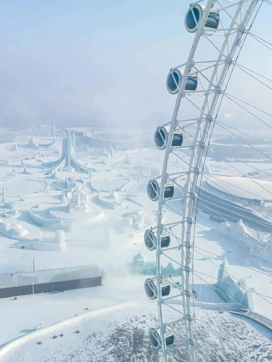 11-2月要来哈尔滨的存好这份懒人攻略‼️