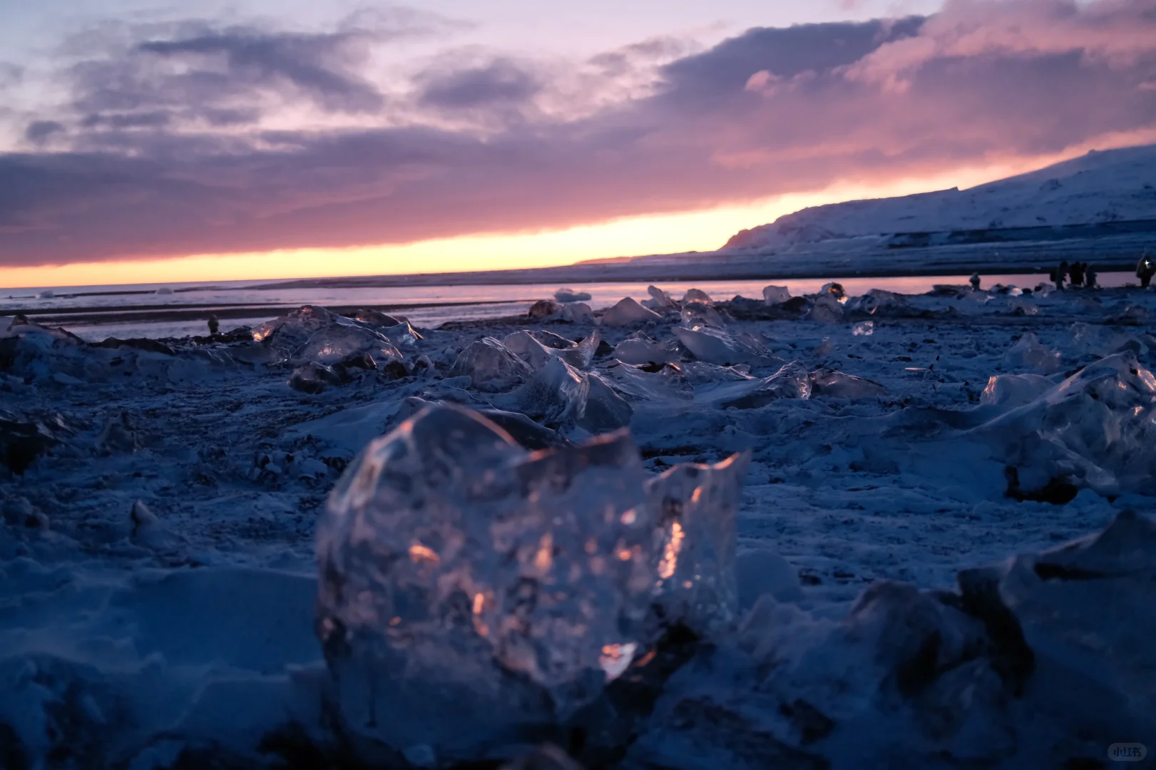 冰岛是形容词💎