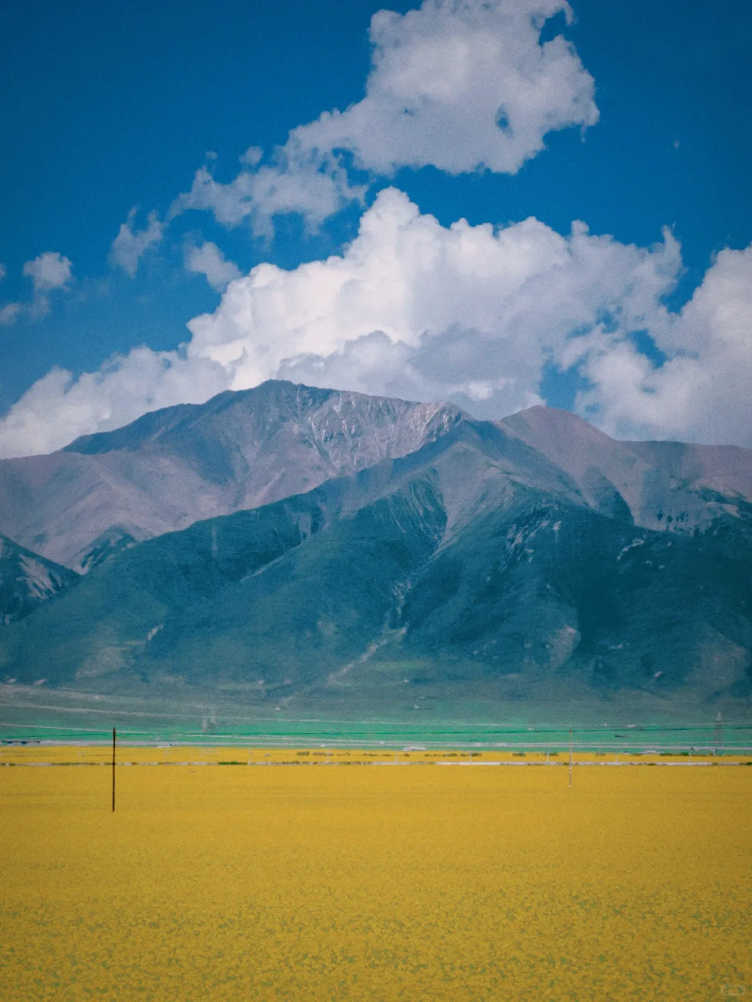 “碰到独自旅行的人，千万别招惹。”