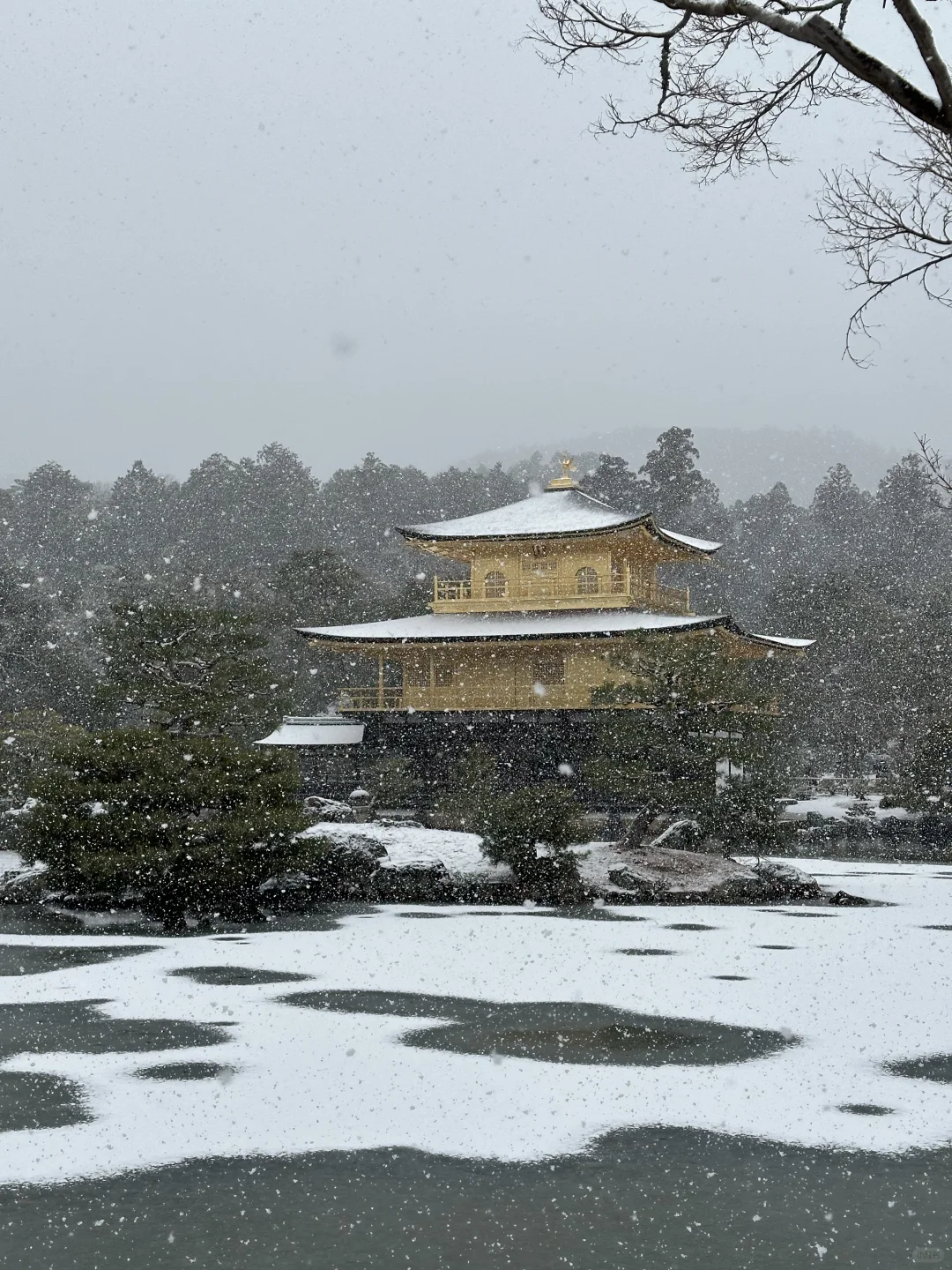 雪顶金阁寺❄️