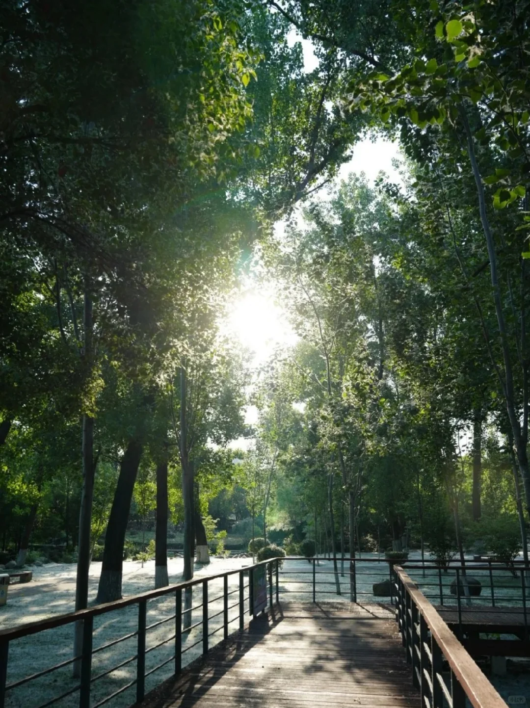 南阳必去9大景点‼️南阳旅游必看❗️