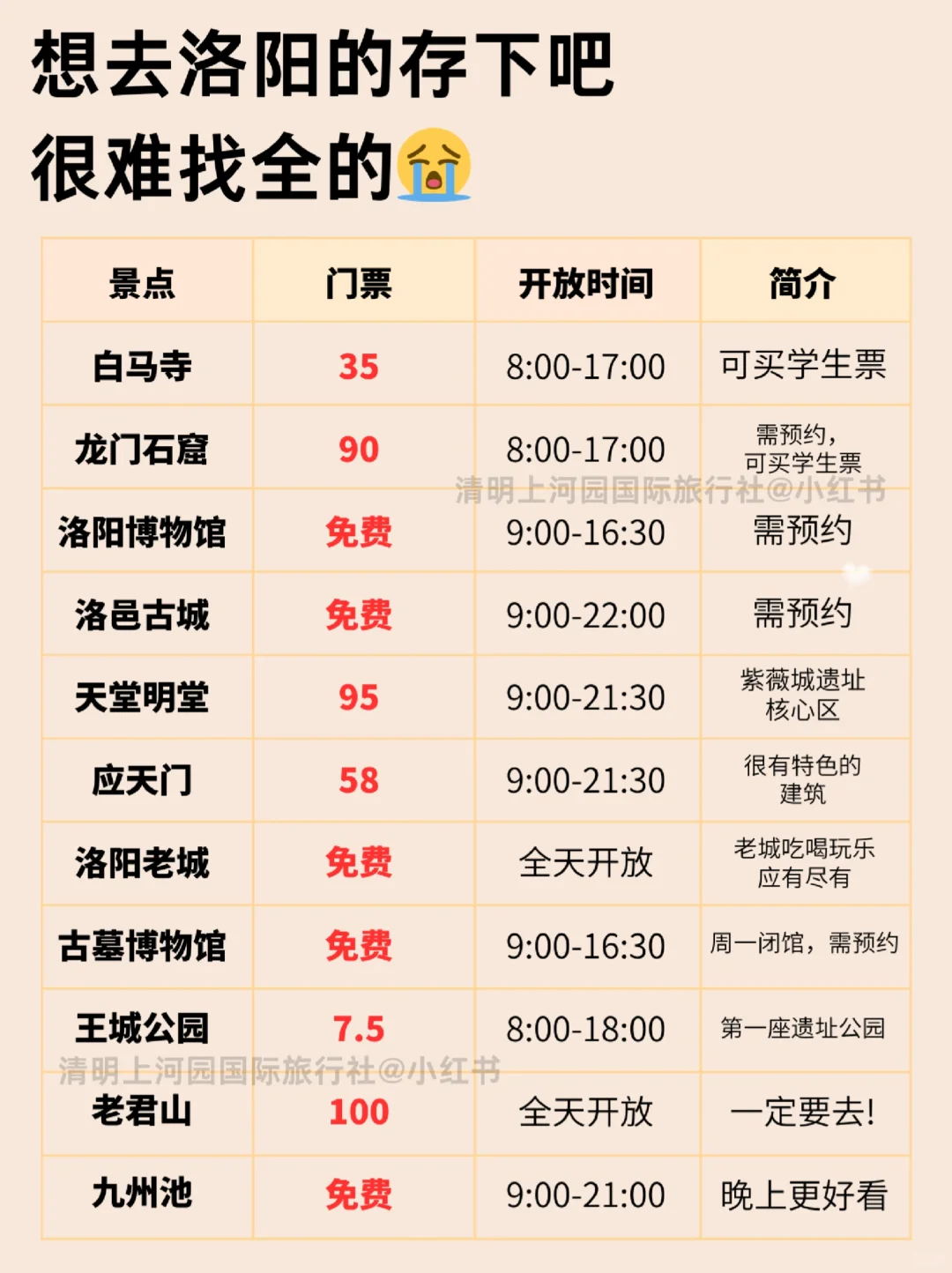 刚带娃从洛阳回来🥵我的建议是。。。