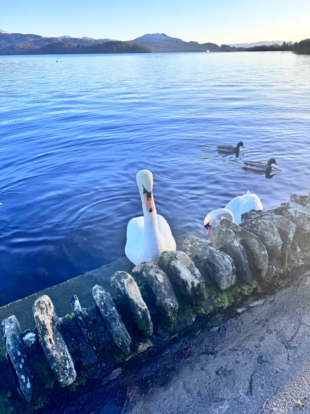 绝美高地，夏天也要再去