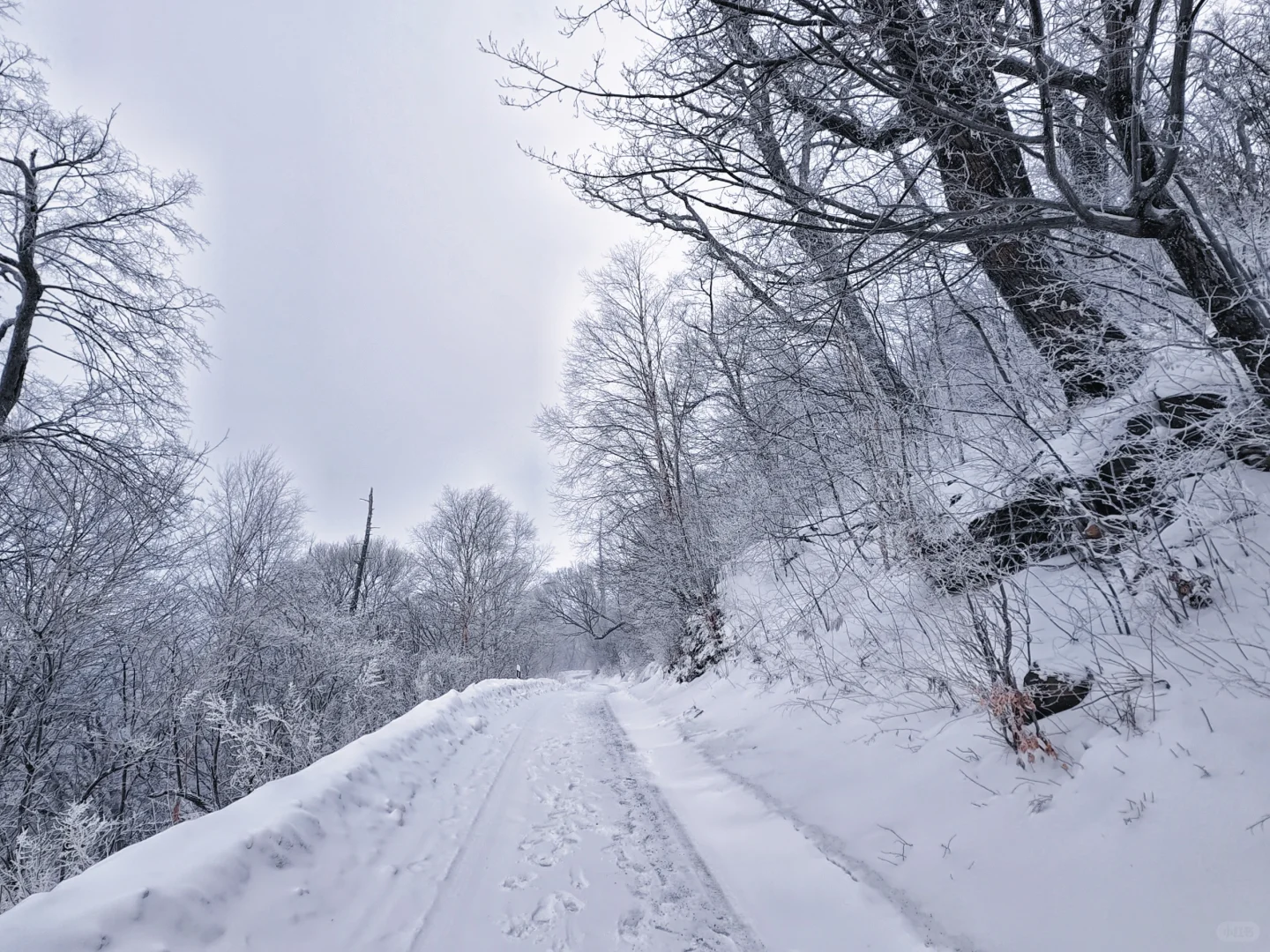 ✨吉林四方顶景区 | 小众绝美旅行记✨