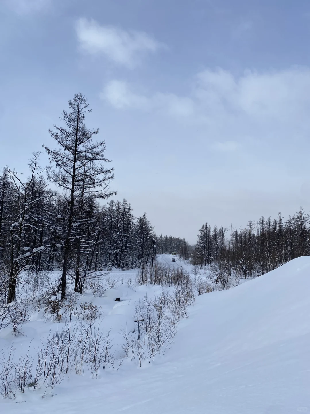 来一场北海道旅行