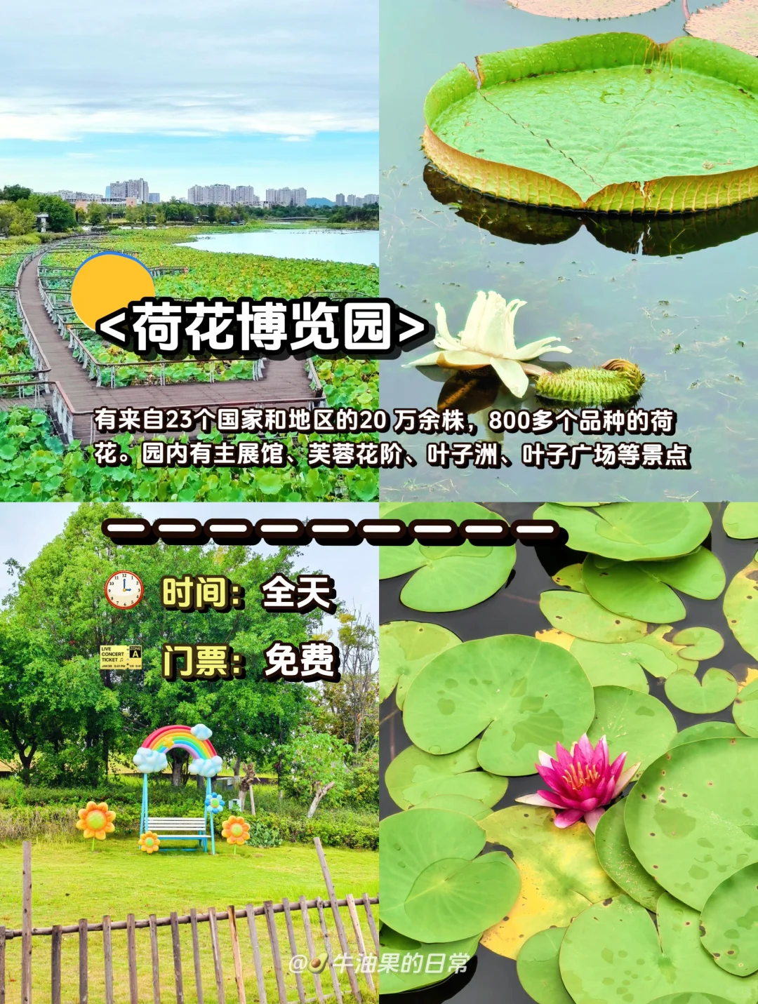 🌟遂宁旅游攻略|这 1️⃣0️⃣个景点一定要去‼️