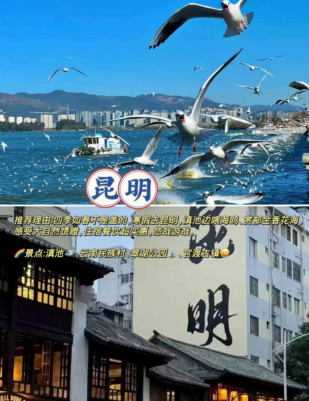 寒假❄️适合去，消费低又温暖🌞的5大城市🏙️