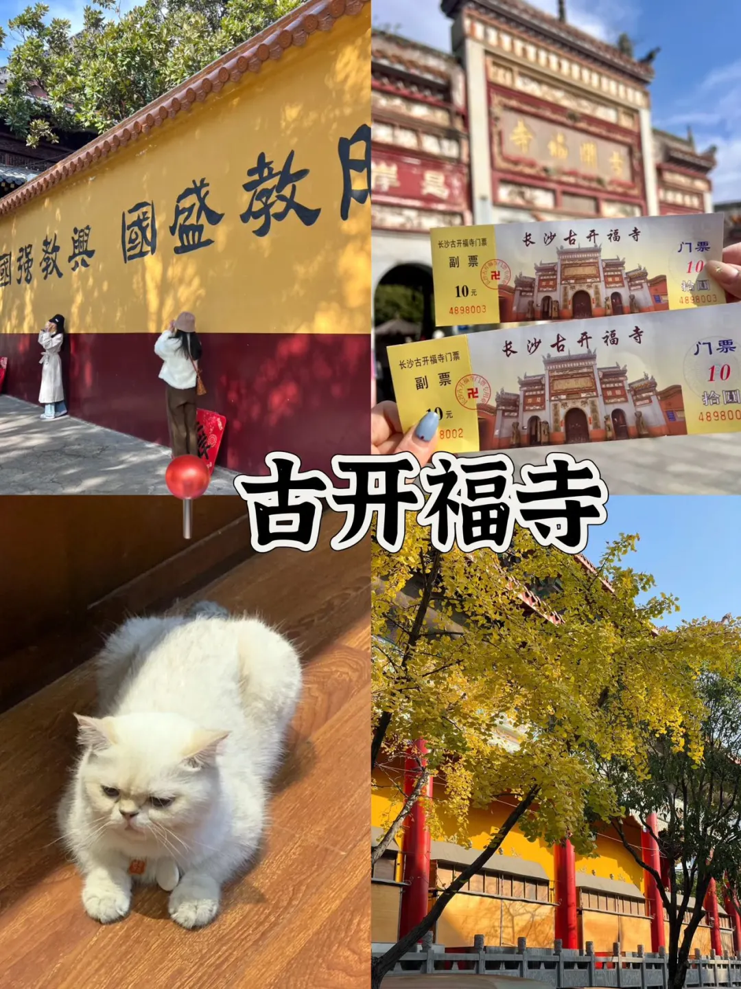 05女大穷游长沙📍三天｜真实旅游分享✌️