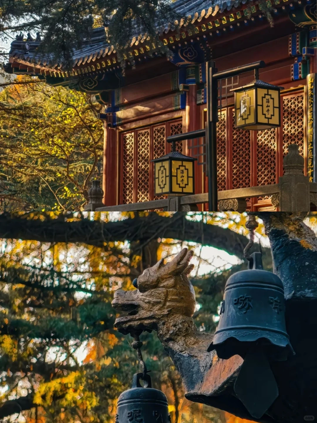 👉青岛湛山寺🙏真的一去寡三年么🆘