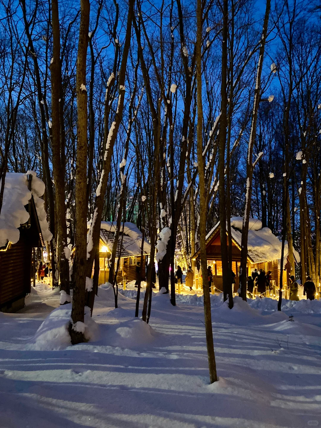 来一场北海道旅行