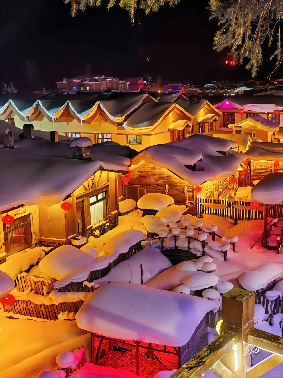 11-2月要来哈尔滨的存好这份懒人攻略‼️