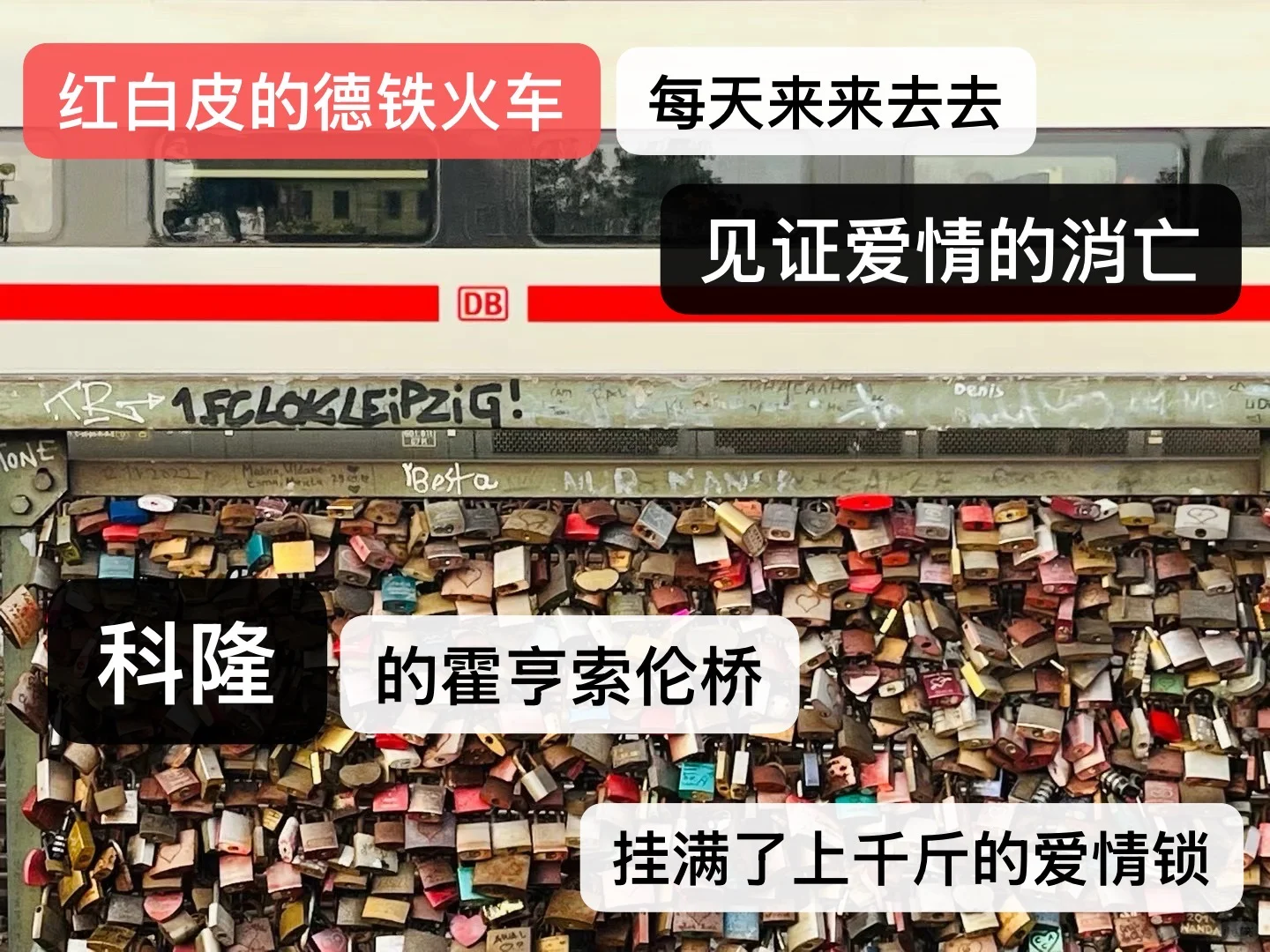 《关于我一年独自穷游了十几个国家这件事》