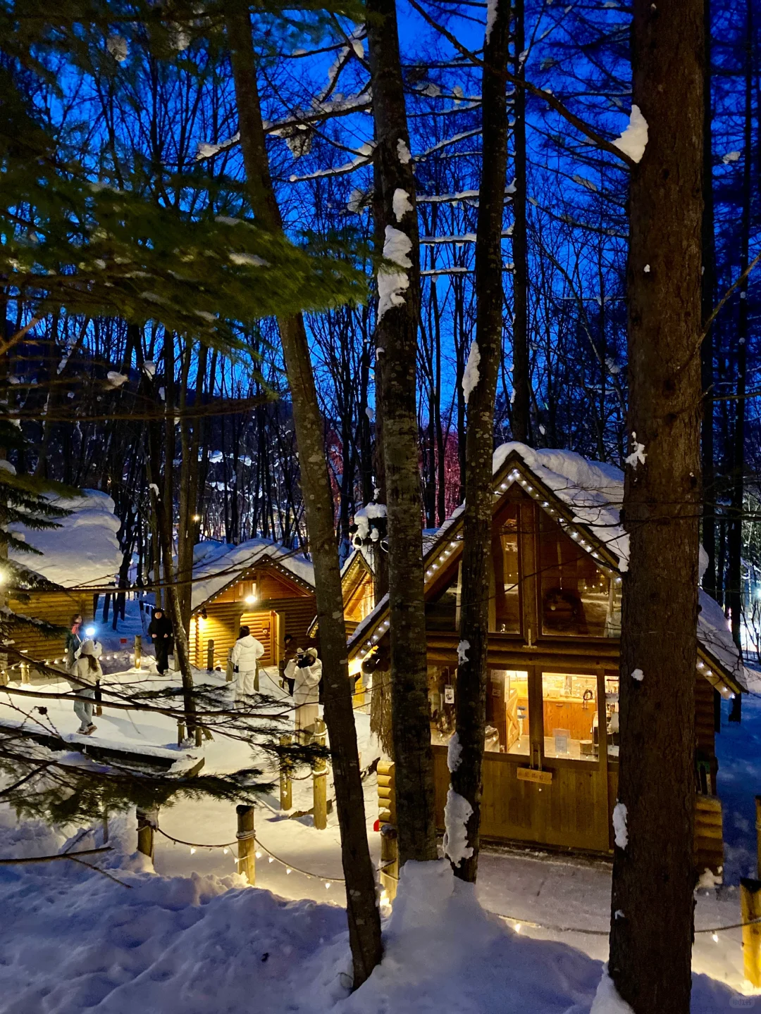 来一场北海道旅行