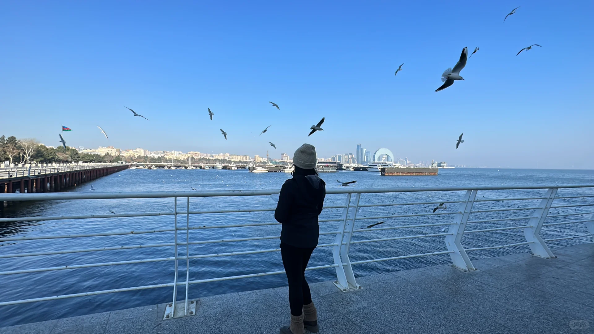 阿塞拜疆巴库第三天—-里海喂海鸥