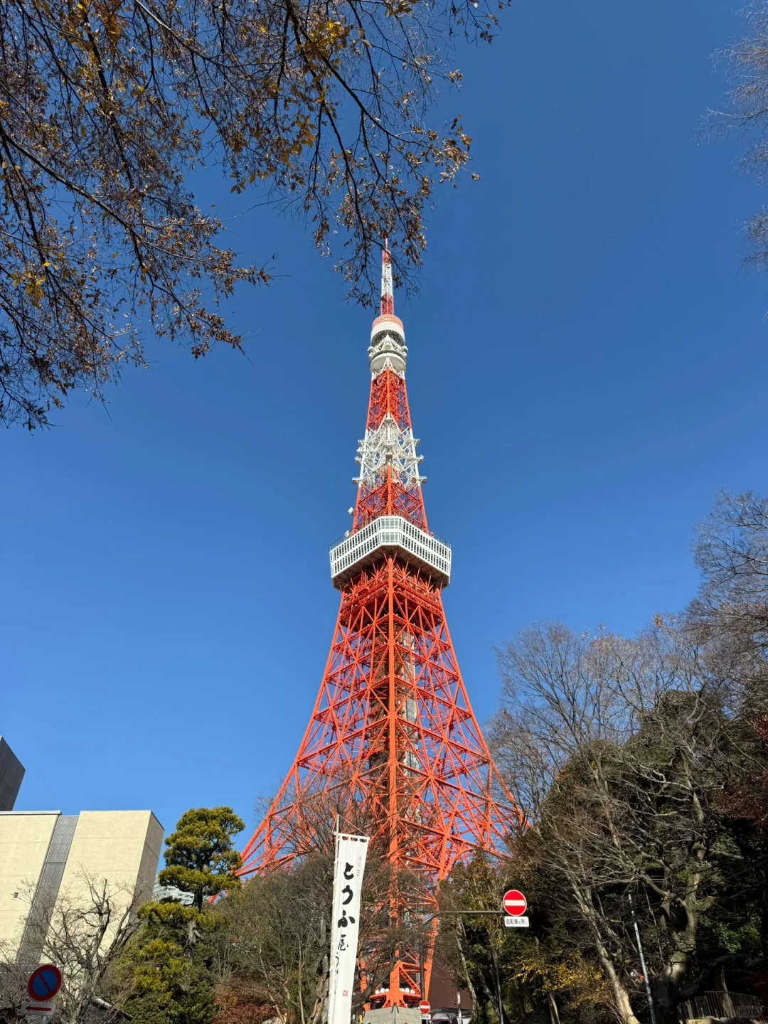 在东京铁塔 第一次眺望🗼