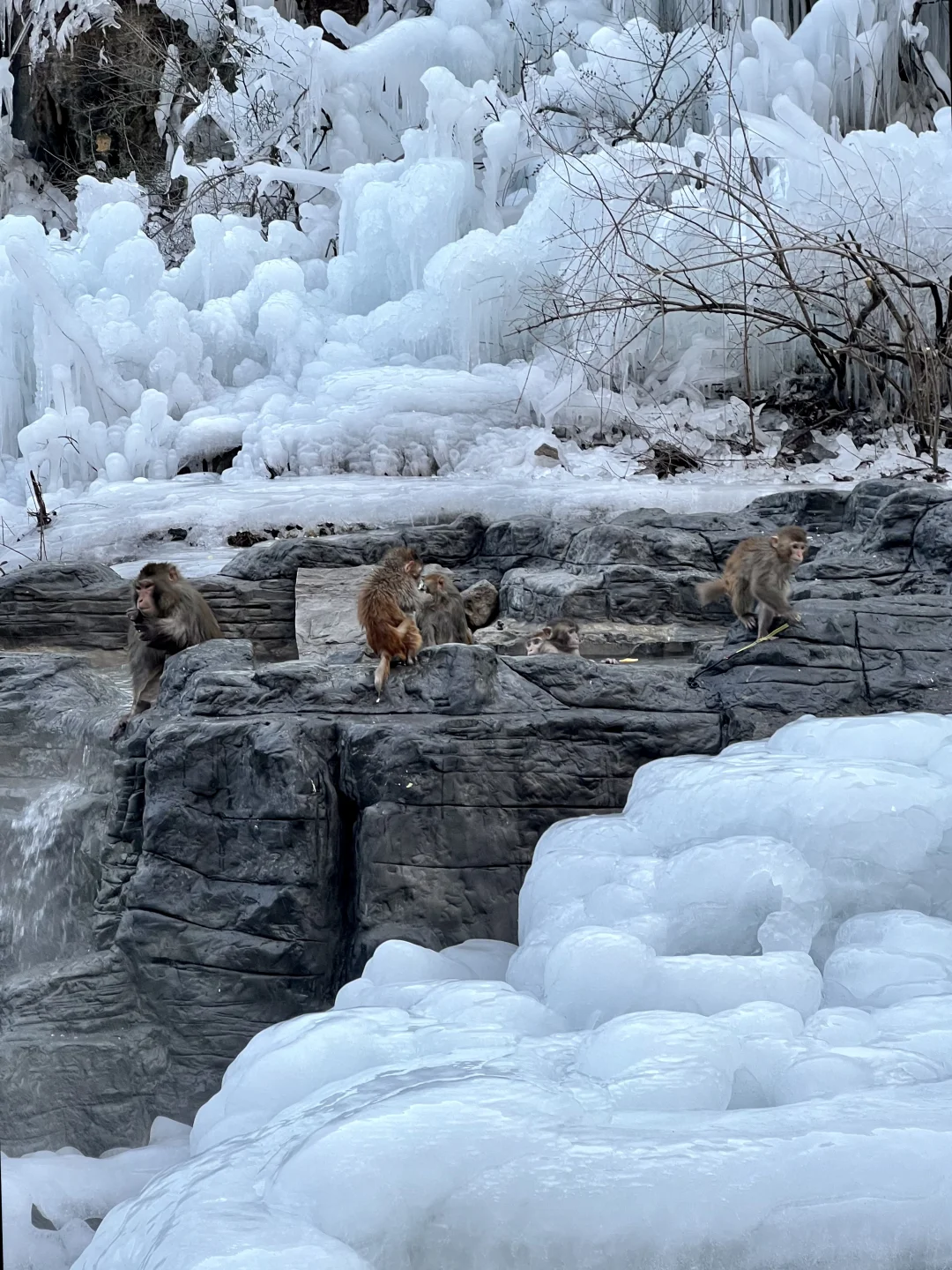 1月5日云台山风景实拍及相关攻略