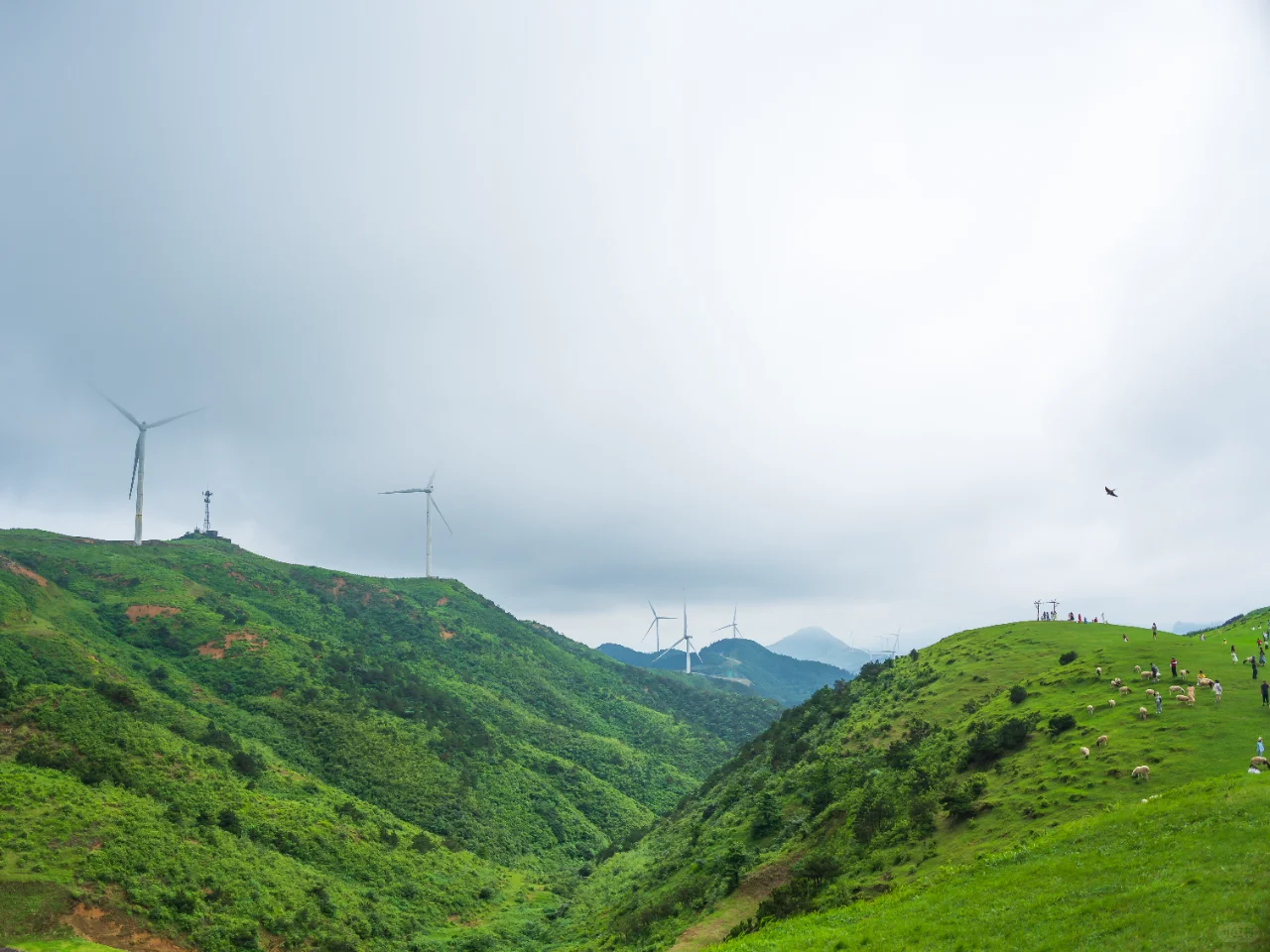 郴州旅拍日记①-仰天湖大草原