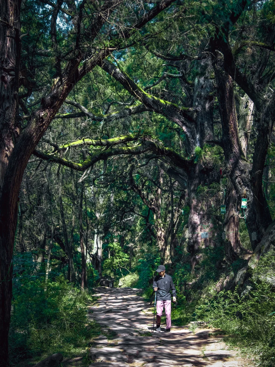 24年徒步过，国内9个震撼我的小众户外秘境