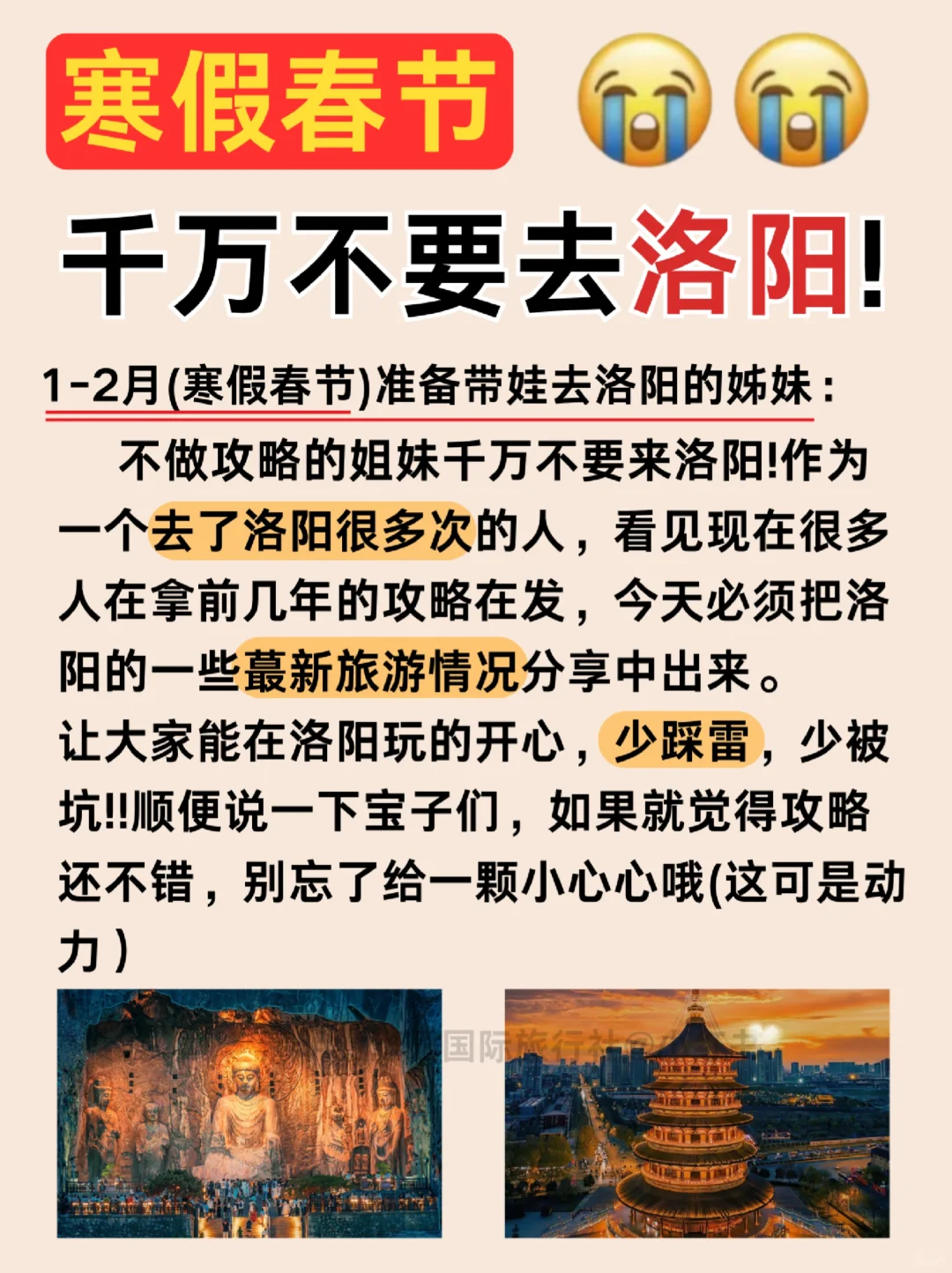 刚带娃从洛阳回来🥵我的建议是。。。