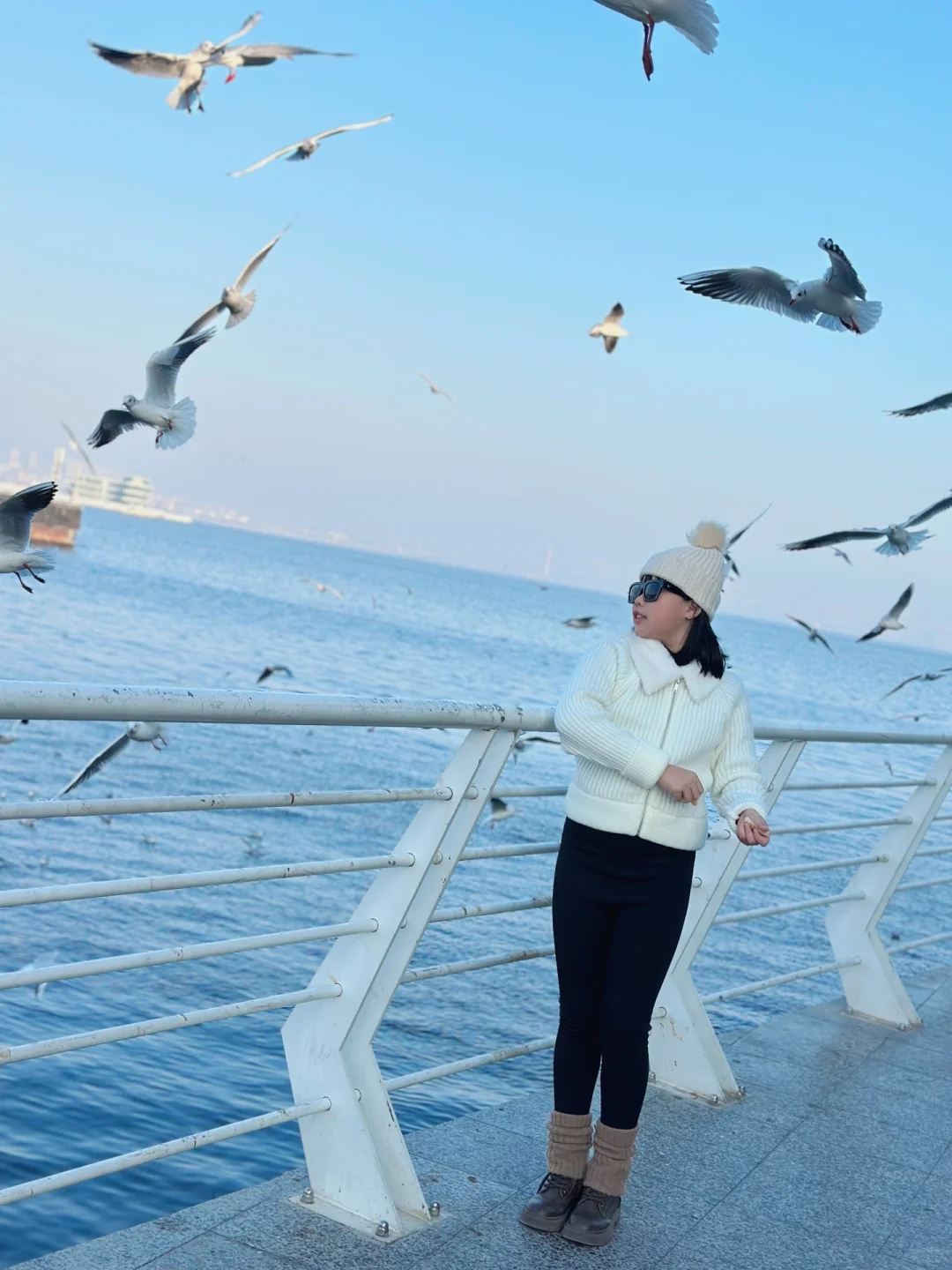 阿塞拜疆巴库第三天—-里海喂海鸥