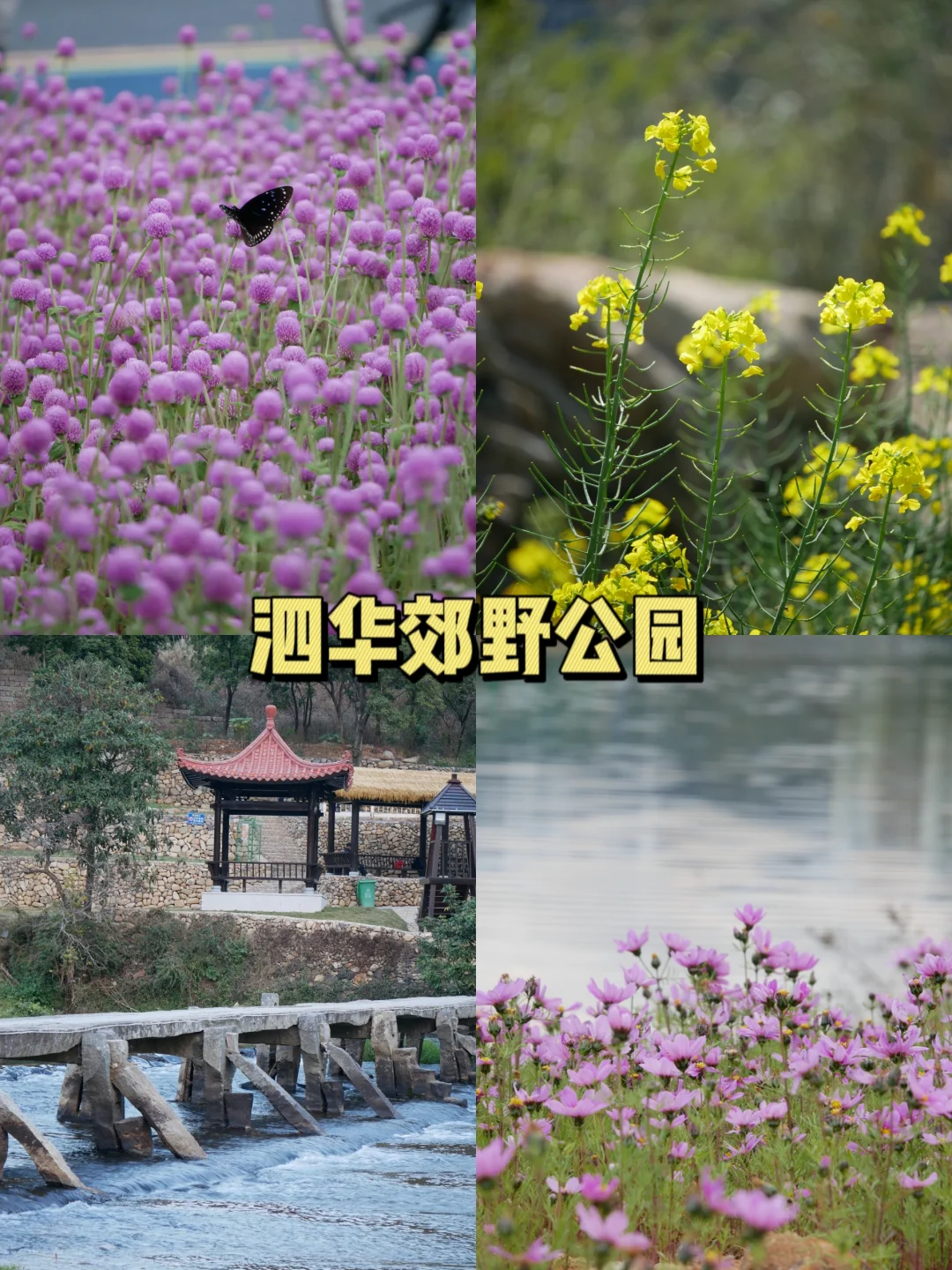 小莆田也有这么多值得一去的景点