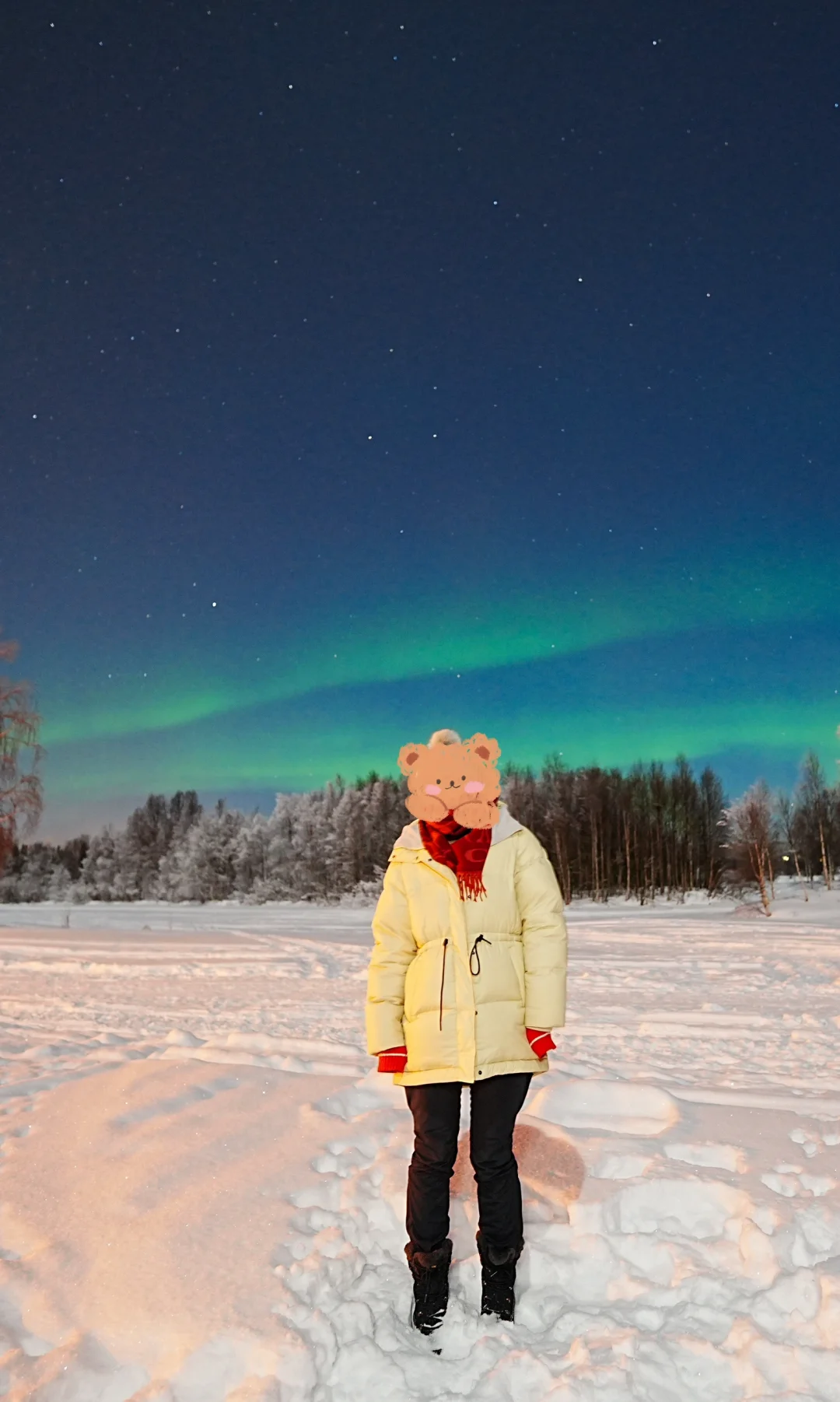 1月10号零下-28度追到的极光