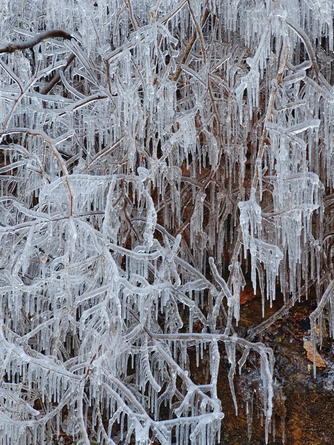 青岛｜崂山北九水冰瀑布打卡攻略