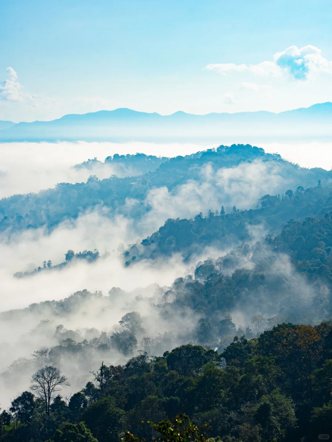 推荐一个云南真正冷门的旅行地，美哭😭我了