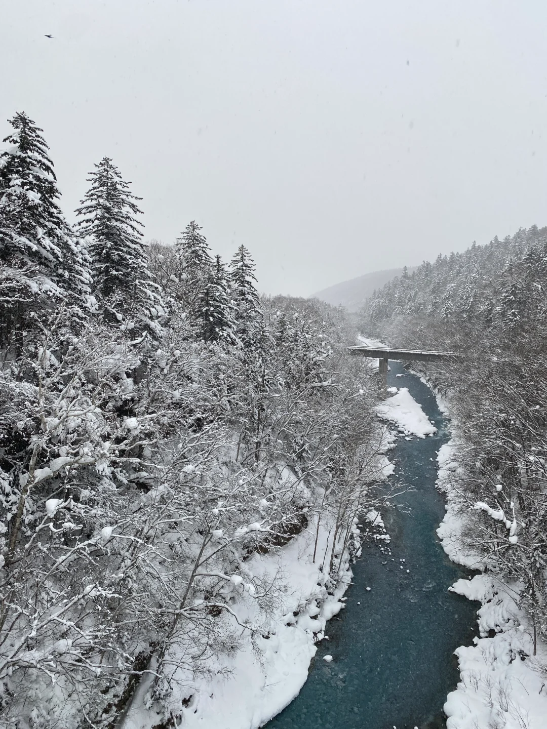 来一场北海道旅行