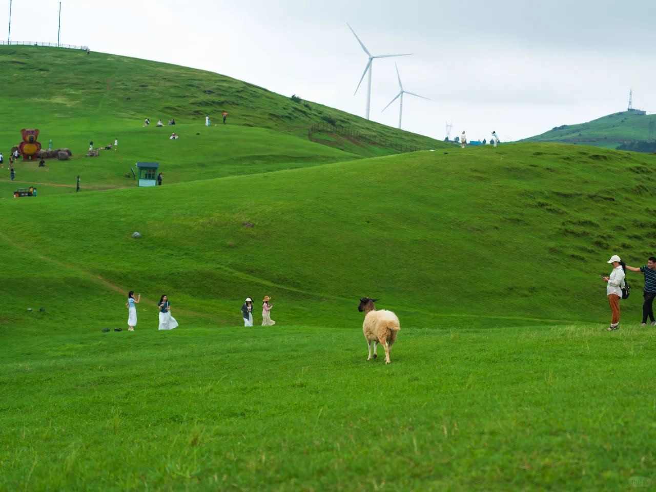 郴州旅拍日记①-仰天湖大草原