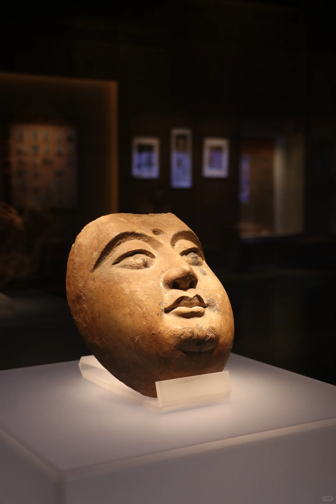 岁月失语：从历史长河中走出的西夏王陵